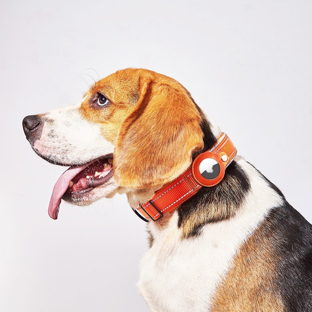 Apple AirTag Hundhalsband med Reflex M svart