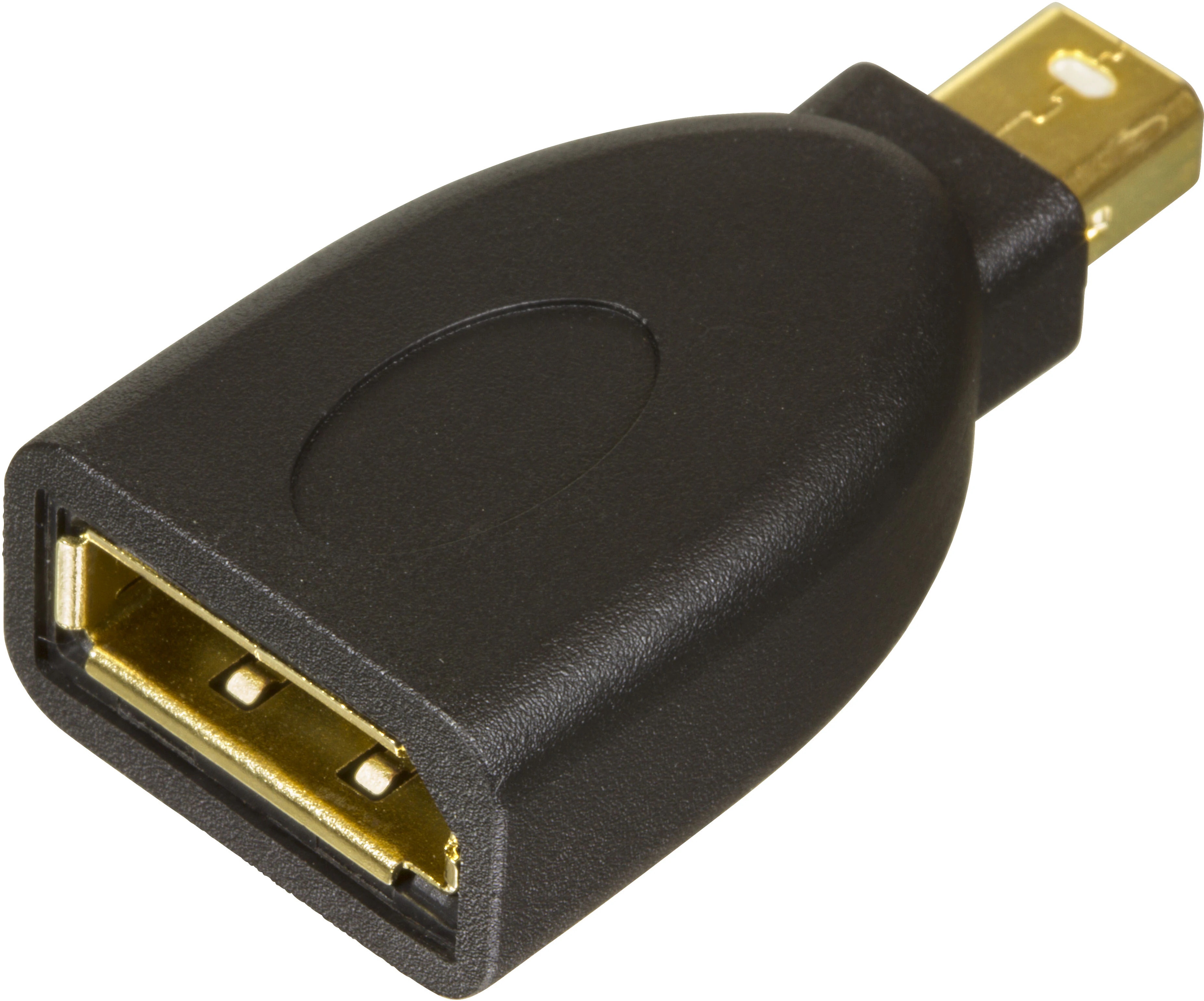 DisplayPort-Mini DisplayPort Adapter svart